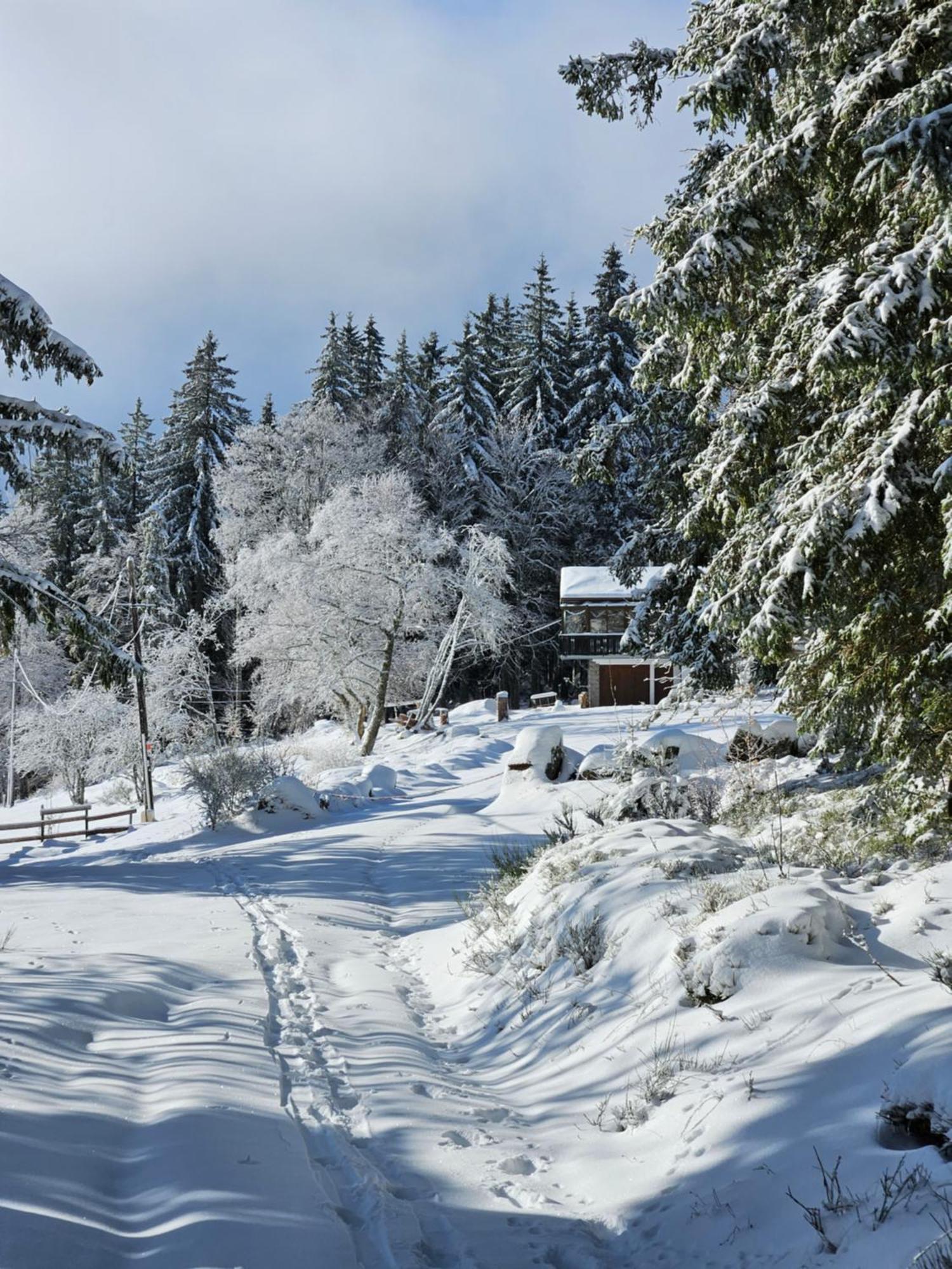 Chalet Perle Des Hauts Bed & Breakfast Gerardmer Exterior photo