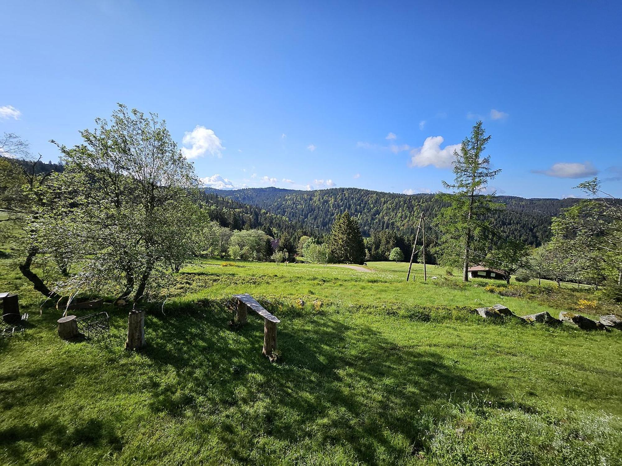 Chalet Perle Des Hauts Bed & Breakfast Gerardmer Exterior photo