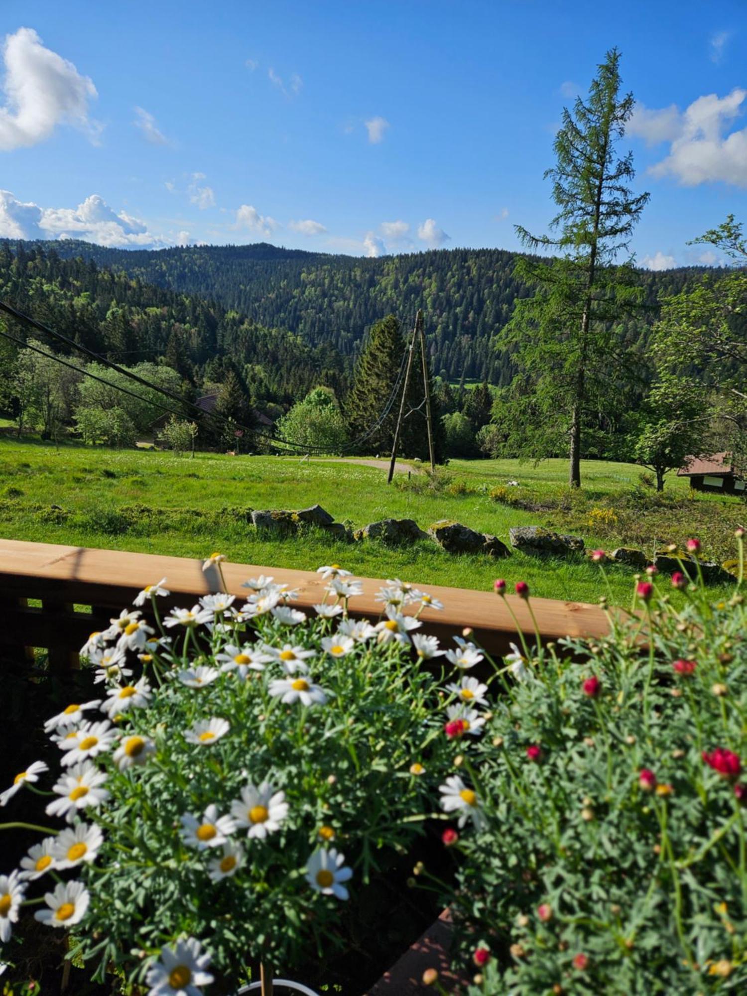 Chalet Perle Des Hauts Bed & Breakfast Gerardmer Exterior photo